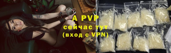 прущие крисы Болохово