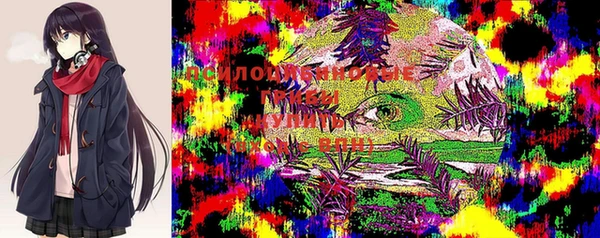 дживик Алексеевка