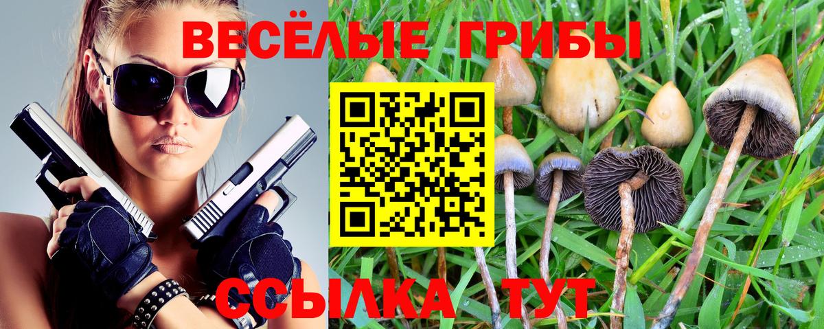 Коряжма  Псилоцибиновые грибы Psilocybine cubensis  Вход с VPN 