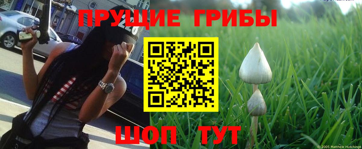 Галлюциногенные грибы мицелий Коряжма