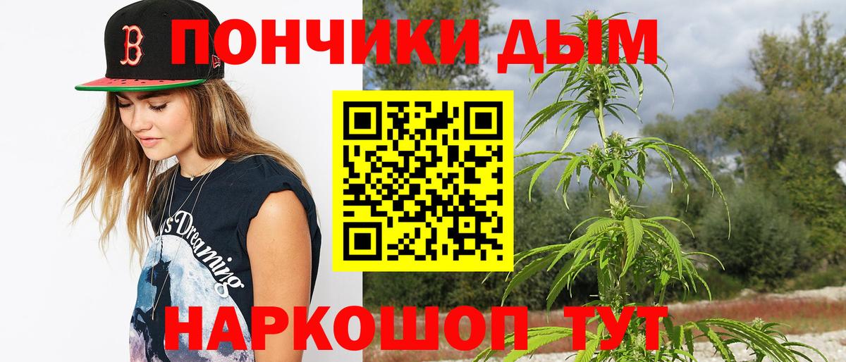  COCAIN Коряжма